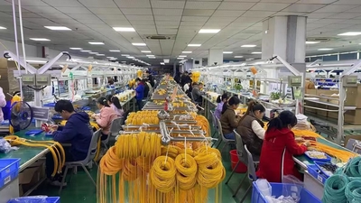 Shenzhen Chuanglixun Optoelectronic Equipment Co., Ltd. 工場生産ライン