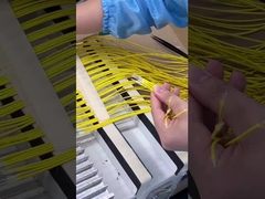 光ファイバー固化炉